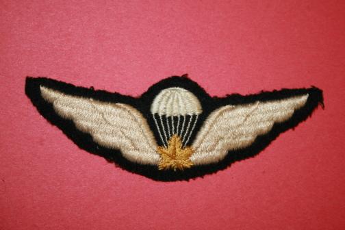 WW2 Canadian Parachute Wings