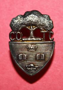 WW1 COTC University of Toronto Officer Collar Badge in Silver