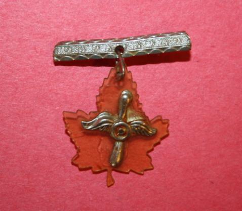 WW1 US Army Air Service Sweetheart Pin