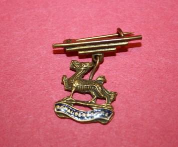 WW1 Royal Berkshire Regiment Sweetheart Pin